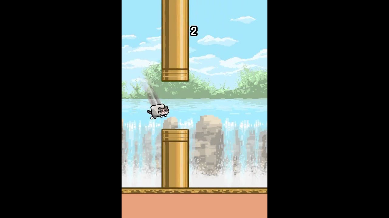 Flappy Nyan got crazy