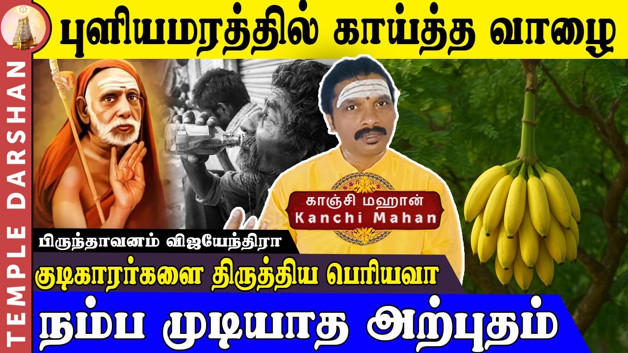 காஞ்சி மகா பெரியவா அற்புதம்: புளியமரத்தில் காய்த்த வாழை | Maha Periyava Devotee Experience