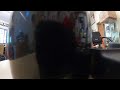 Test live stream 2