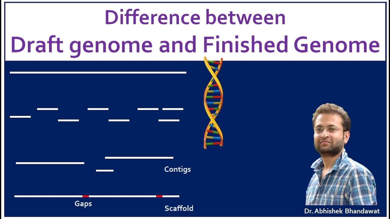 What is draft and a finished genome? What is the difference? - YouTube