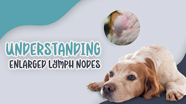 Understanding Enlarged Lymph Nodes in Pets: Causes, Symptoms, and Care