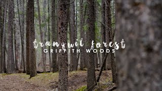 Forest Therapy ASMR | Griffith Woods | Go For A Walk