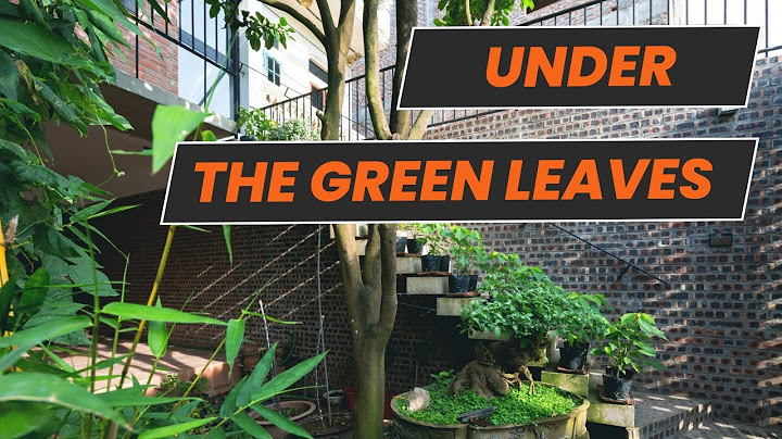 Dear Home #21 Inside one of the homes with stunning green architecture