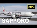 [4K] Beautiful Snow Scene - Winter Plane Spotting at Sapporo New Chitose Airport / 新千歳空港 嵐ジェット