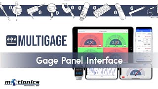 MultiGage Tutorial: Gage Panel Interface
