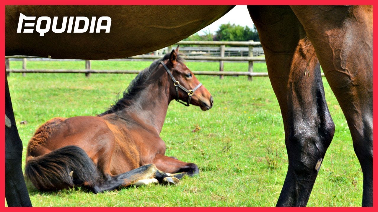 OBJECTIF COURSE | Episode 11 : Derniers jours avec maman !