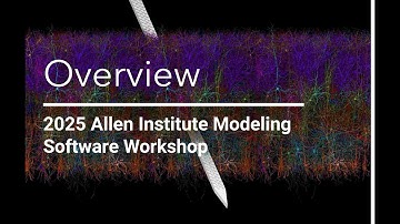 Workshop introduction and overview – Anton Arkhipov
