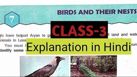 Chapter-7 Birds and Their Nest Class -3rd DAV School by GOOD NICE