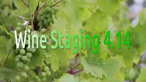 How to install Wine 4.14 Staging on Ubuntu 18.04