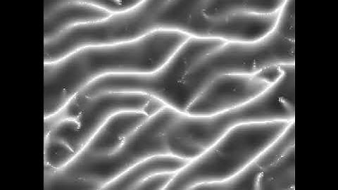 Exploring complex physarum behavior dynamics by simulation