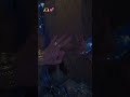 Sheikh|youtube|reels|Hamdan|Hamara|Dubai #reels #explore #youtube #shrz #floods #dubai #viral