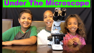 Silly string under the microscope