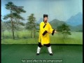 Wudang xuanwu pai taiyi xiaoyao zhang  tutorial