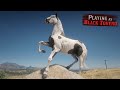 Playing as Black Tovero Fox Trotter HORSE in Red Dead Redemption 2  🔴Horse Falls and Crashes in 4K