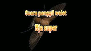 suara panggil  walet bja super