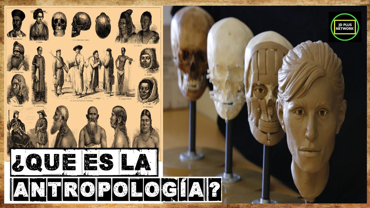 💀¿Que es la antropología?👥¿Qué estudia la antropología? Conoce sus
