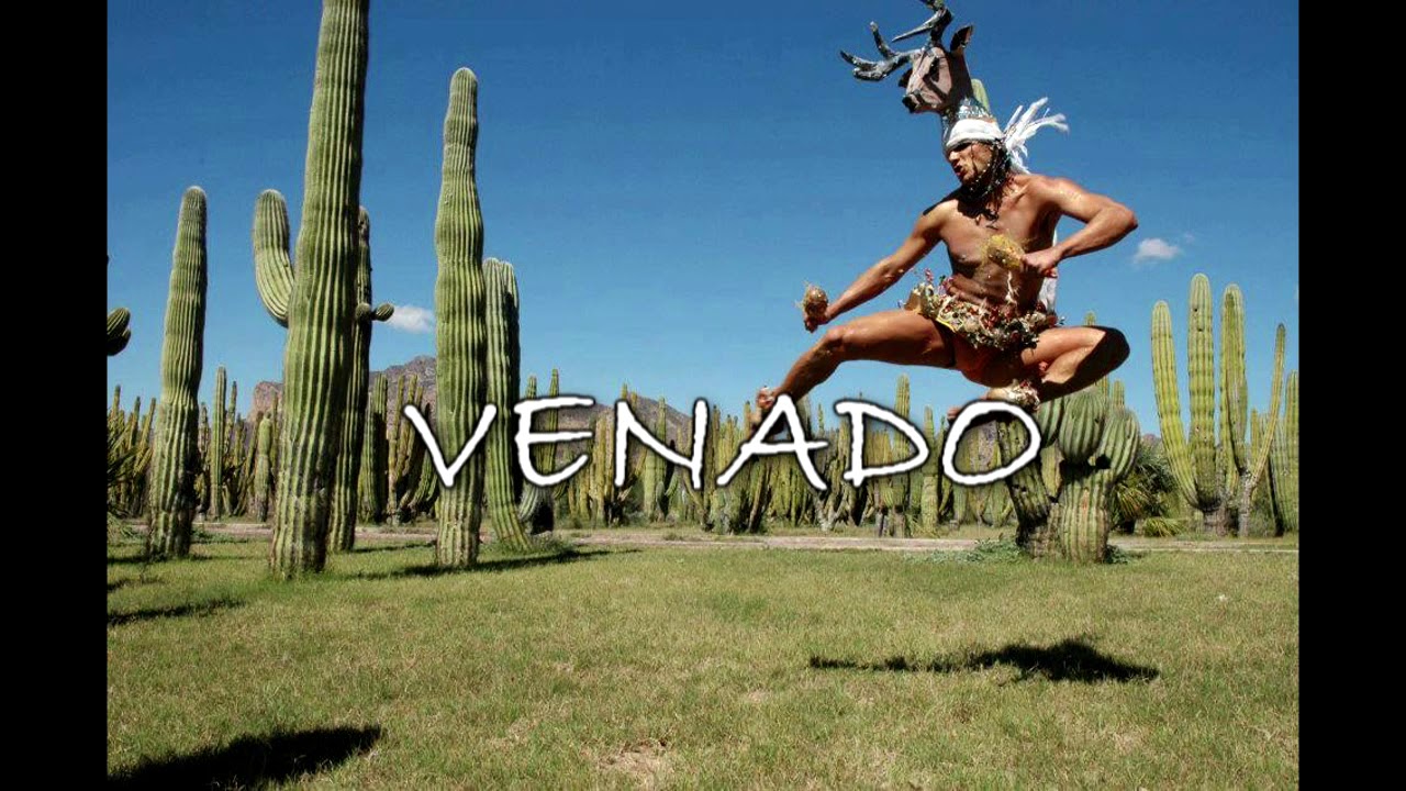 MÚSICA DE LA DANZA DEL VENADO YouTube