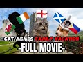 Cat memes one hour of ultimate cat memes vacation