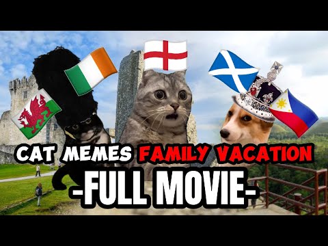 CAT MEMES: ONE