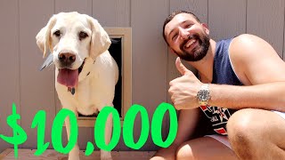 CUSTOM $10,000 DOG HOUSE!! by BigDawsVlogs 145,498 views 3 years ago 20 minutes