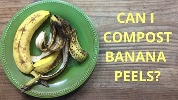 Can I Compost Banana Peels?
