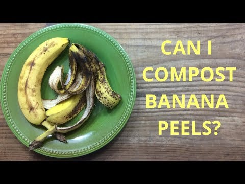 Video: Bananų žievelės naudojimas komposte – bananų poveikis dirvožemio kompostui