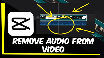 Remove Audio From Video | CapCut PC Tutorial