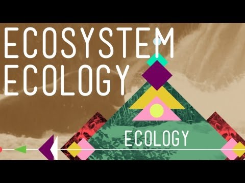 Ecosystem Ecology: Links in the Chain - Crash Course Ecology #7