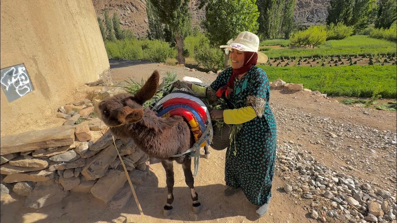 #VLOG168 | هكذا أصبحت هذه المرأة تعيش‼️من لاشيء لحياة مليانة حركة وكرامة😍