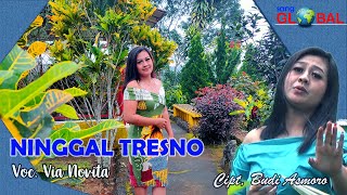 NINGGAL TRESNO - VIA NOVITA (  Dangdut Koplo )