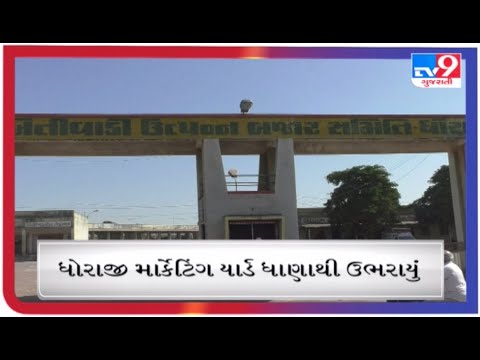 ધોરાજી માર્કેટિંગ યાર્ડમાં ધાણાની મબલખ આવક |Tv9gujaratinews