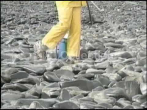 Видео: Exxon Valdez-ийн асгаралтыг цэвэрлэсэн үү?