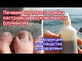 Лечение ногтевого грибка настройкой восковой моли (огневкой). Продукция пчеловодства для здоровья