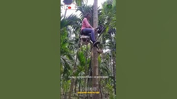 Girl Effortlessly Climbing Tree Using a Tree Climbing Machine!😱 #shorts