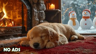 12 Hours of Relaxing Music for Dogs 🐶🌈 Stress Relief &amp; Sleep Aid 🎵 When Owners Are Not Home 💖No Ads