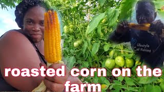 One whole day taking care of the farm and roasted corn for lunch and roast potato