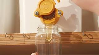 From Hive To Pantry | Australian Local Honey