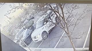 California man steals Christmas tree off the roof of a car