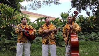 Na Hoa - Lei Pua Kenikeni