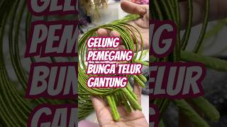 Mudah cepat untuk buat bunga telur/doorgift jenis gantung #diy #orchidzone #decocraft Mudah cepat untuk buat bunga telur/doorgift jenis gantung #diy #orchidzone #decocraft