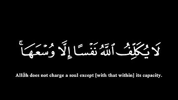 ﴿ ءامن الرسول بما انزل اليه من ربه﴾🍁كروما شاشة سوداء قرآن كريم 🍁 القارئ ماهر المعيقلي  🍁 سورة البقرة