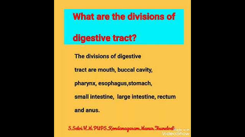 New syllabus. Science. std 5. term 1.Digestive system.( voice)
