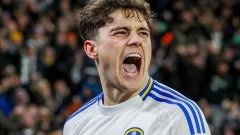 Dan james’s goals and assists this season at the moment for leeds united 24/25 season 😍