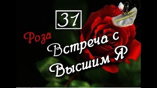 31 урок! (33 урока Женственности) Роза. Встреча с Высшим Я. 31 урок! (33 урока Женственности) Роза. Встреча с Высшим Я.