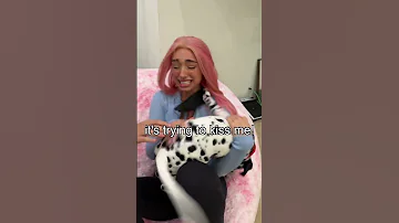 اشتريت أندر جرو في العالم 