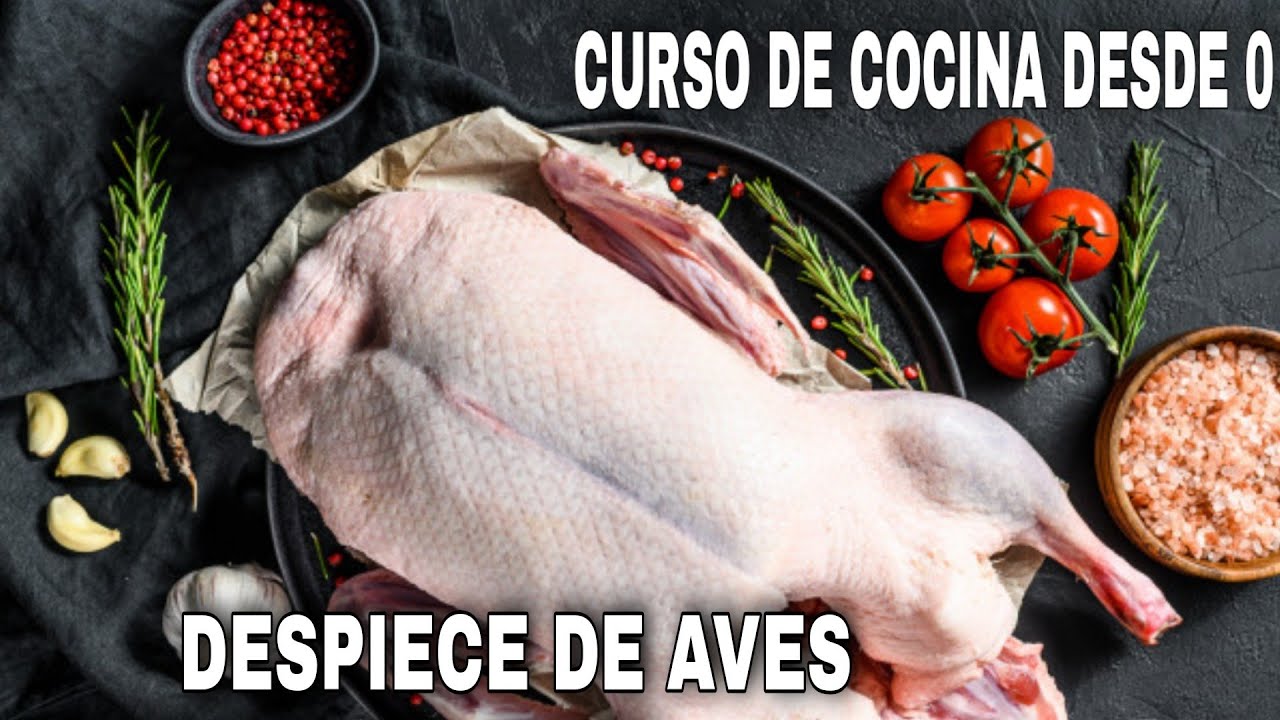 Curso de cocina desde 0 👨🍳 - Despiece de Aves 🪓🥩🍖🍗🦴🔪🦆🐥🦉🦅