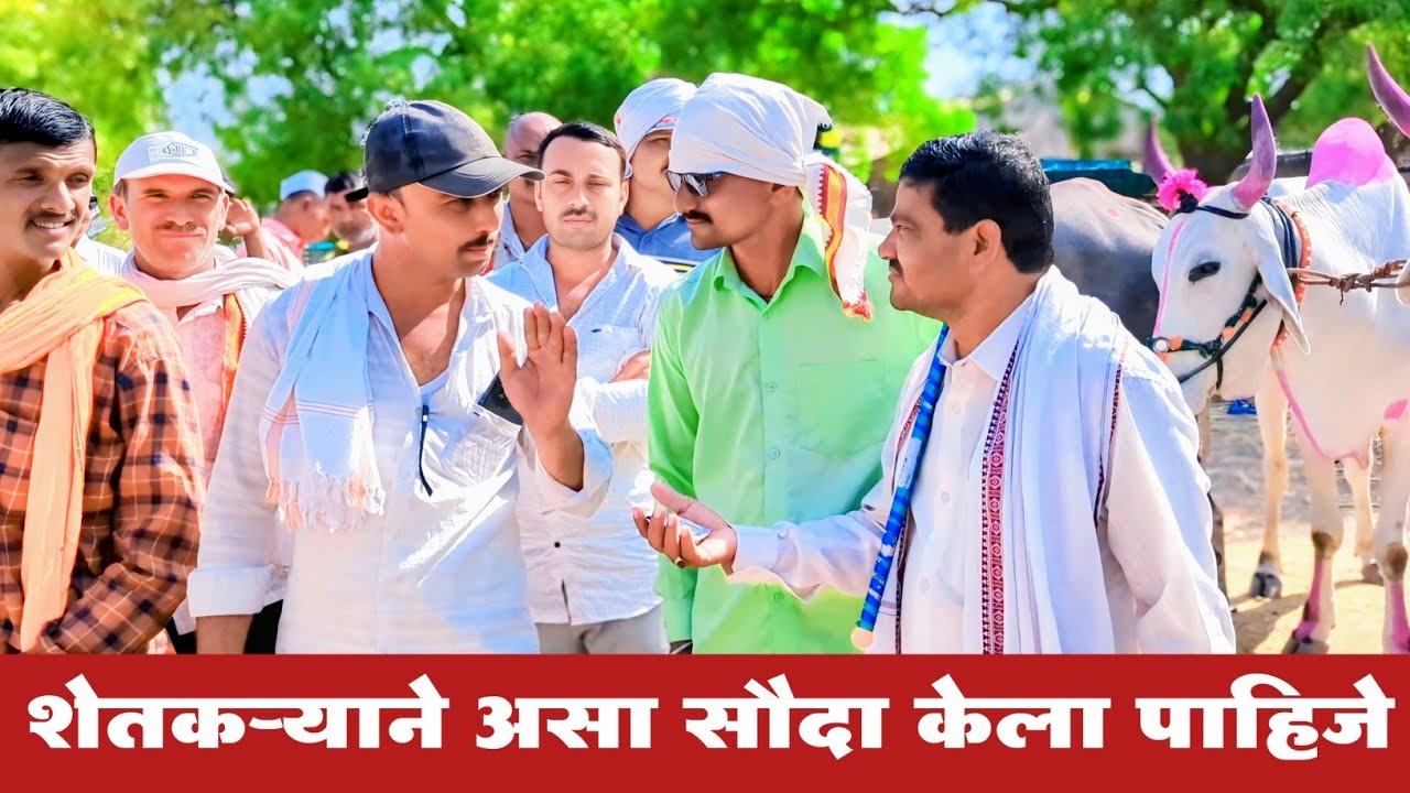 प्रत्येक शेतकऱ्याने करायला पाहिजे आणि सौदा एकदा बघाच#खिल्लार_महाराष्ट्राची_शान #shetkari #बैलबाजार