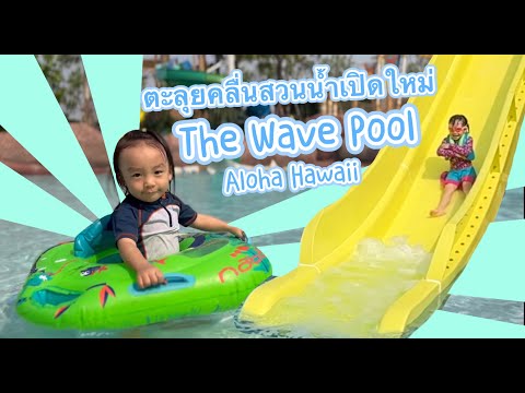 วีดีโอ: สวนสนุกและสวนน้ำในฮาวาย