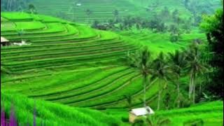 Instrumen Musik Sunda No copyright untuk backsound video