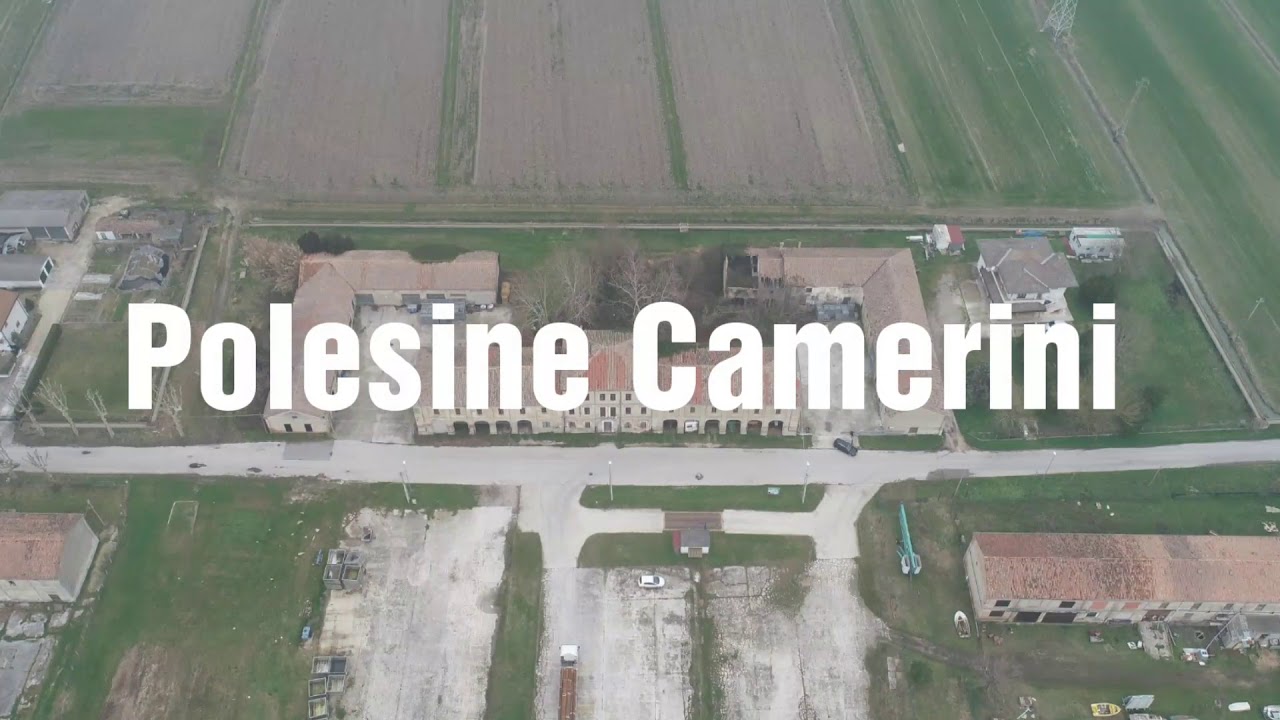 Photographie Ancienne (1957?) Vignoble Camerini Polesine, Inondation Rovigo - Archive Historique